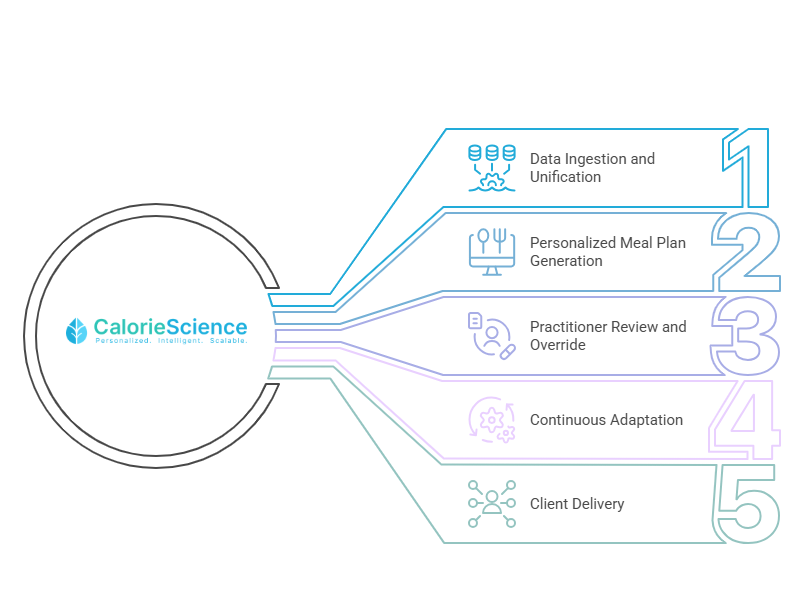 Five-step CalorieScience workflow: data ingestion and unification, personalised meal plan generation, practitioner review and override, continuous adaptation, and client delivery